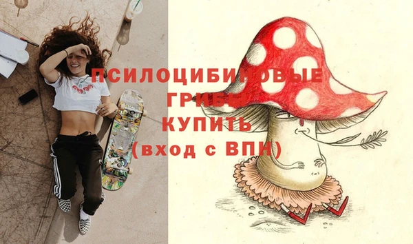 гидропоника Алексин